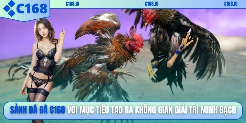 Sảnh đá gà C168 với mục tiêu tạo ra không gian giải trí minh bạch